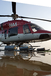 HM-1